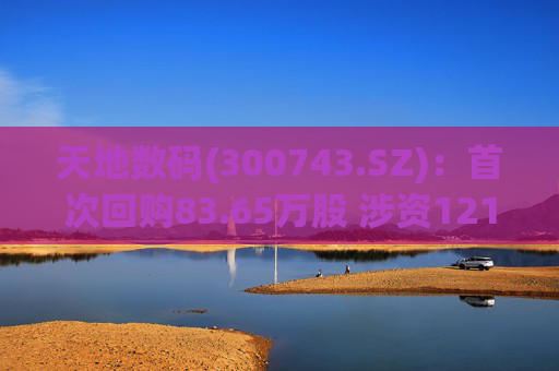 天地数码(300743.SZ)：首次回购83.65万股 涉资1215.66万元