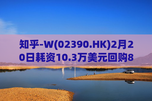 知乎-W(02390.HK)2月20日耗资10.3万美元回购8.76万股
