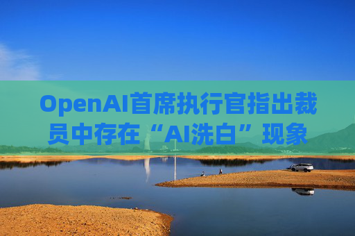 OpenAI首席执行官指出裁员中存在“AI洗白”现象  第1张