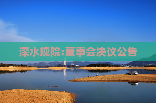 深水规院:董事会决议公告  第1张
