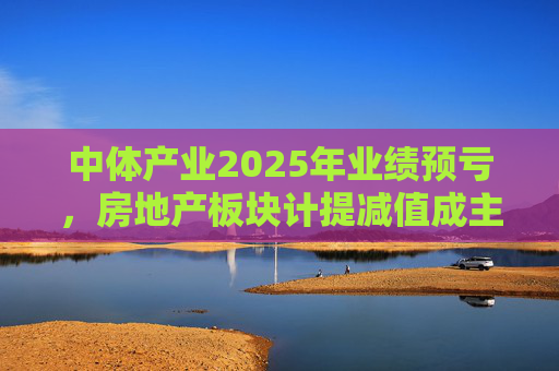 中体产业2025年业绩预亏，房地产板块计提减值成主因
