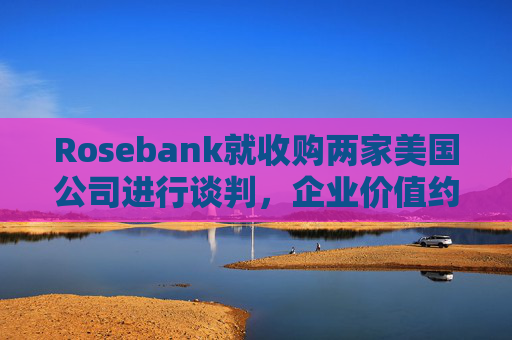 Rosebank就收购两家美国公司进行谈判，企业价值约30.5 亿美元