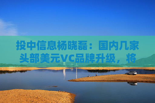 投中信息杨晓磊：国内几家头部美元VC品牌升级，将英文改成了拼音