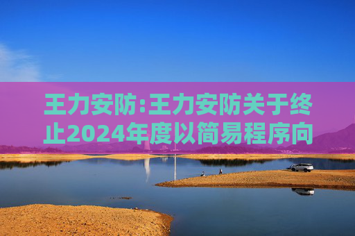 王力安防:王力安防关于终止2024年度以简易程序向特定对象发行股票事项的公告