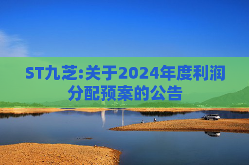 ST九芝:关于2024年度利润分配预案的公告