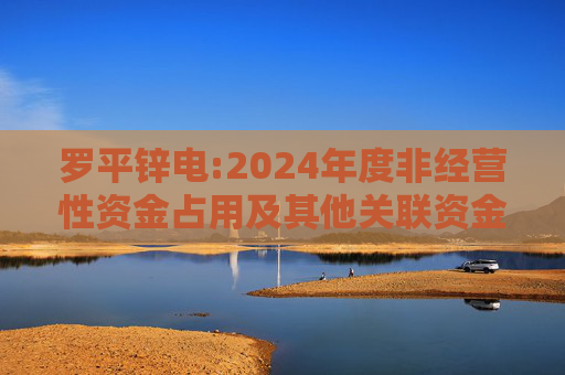 罗平锌电:2024年度非经营性资金占用及其他关联资金往来情况汇总表