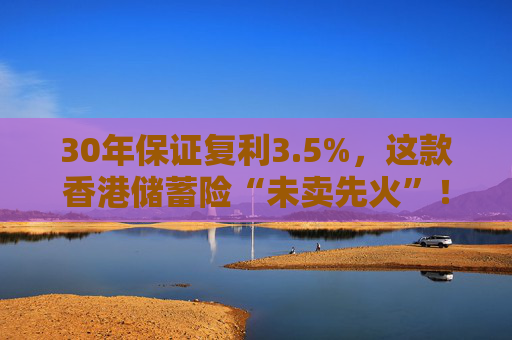 30年保证复利3.5%，这款香港储蓄险“未卖先火”！中资港险瞄准内地客户，产品也要“内地化”？