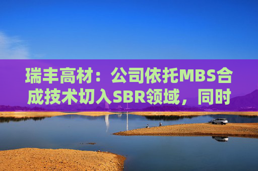瑞丰高材：公司依托MBS合成技术切入SBR领域，同时布局PAA负极粘结剂