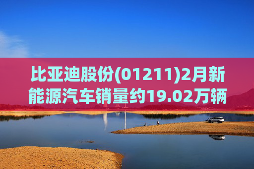 比亚迪股份(01211)2月新能源汽车销量约19.02万辆