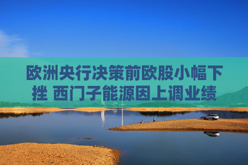 欧洲央行决策前欧股小幅下挫 西门子能源因上调业绩预期飙升12%