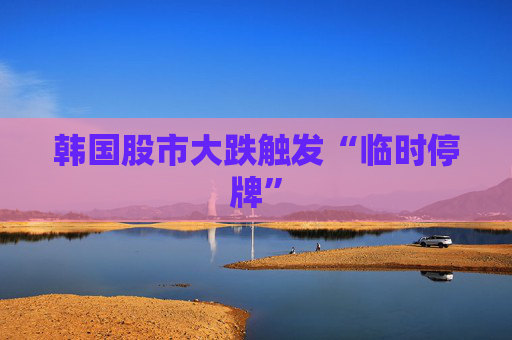 韩国股市大跌触发“临时停牌”