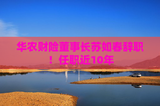 华农财险董事长苏如春辞职！任职近10年