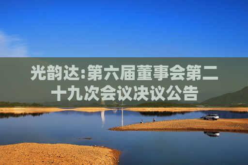 光韵达:第六届董事会第二十九次会议决议公告