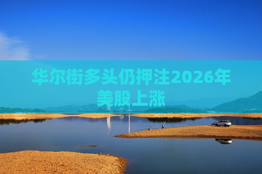 华尔街多头仍押注2026年美股上涨