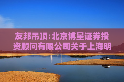 友邦吊顶:北京博星证券投资顾问有限公司关于上海明盛联禾智能科技有限公司及其一致行动人要约收购浙江友邦集成吊顶股份有限公司之财务顾问报告