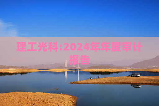 理工光科:2024年年度审计报告
