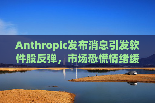 Anthropic发布消息引发软件股反弹，市场恐慌情绪缓解