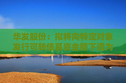华发股份：拟将向特定对象发行可转债募资金额下调为不超48亿元
