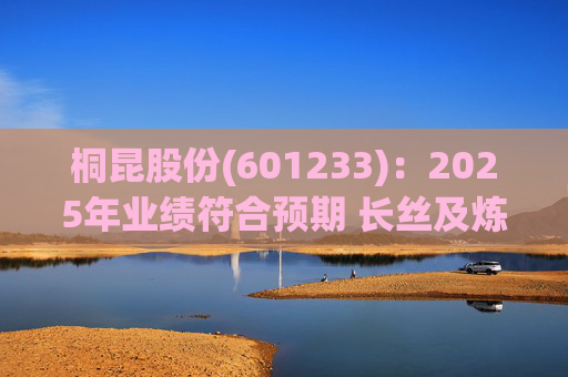 桐昆股份(601233)：2025年业绩符合预期 长丝及炼化景气回暖盈利大幅增长