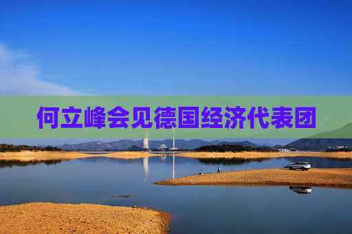 何立峰会见德国经济代表团