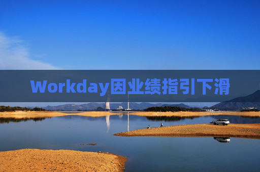 Workday因业绩指引下滑