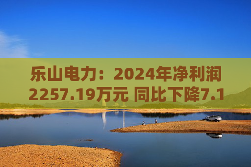 乐山电力：2024年净利润2257.19万元 同比下降7.11%