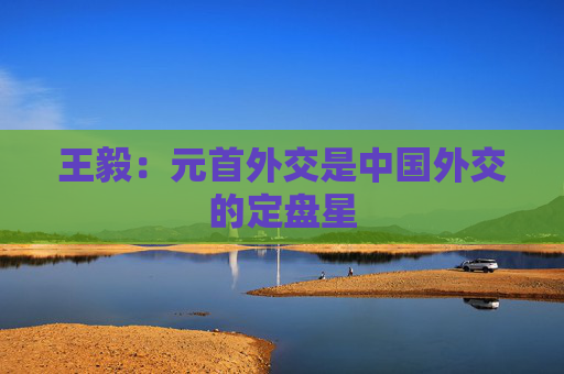 王毅：元首外交是中国外交的定盘星