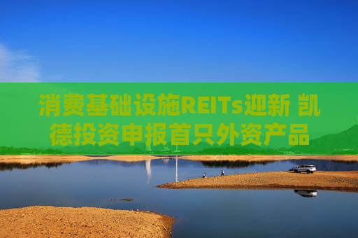 消费基础设施REITs迎新 凯德投资申报首只外资产品  第1张