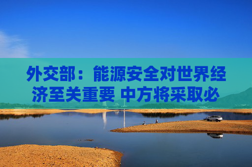 外交部：能源安全对世界经济至关重要 中方将采取必要措施保障自身能源安全  第1张