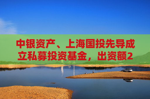 中银资产、上海国投先导成立私募投资基金，出资额26.7亿元