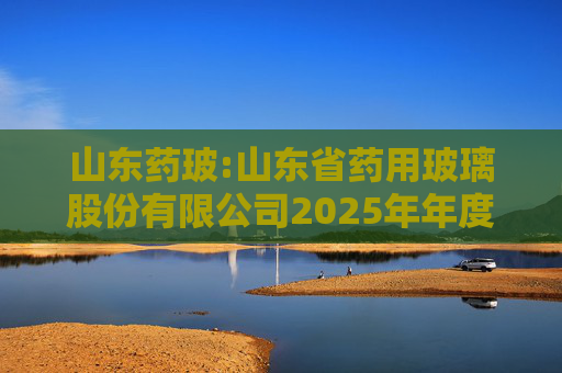 山东药玻:山东省药用玻璃股份有限公司2025年年度股东会会议资料  第1张