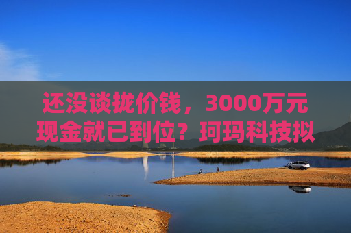 还没谈拢价钱，3000万元现金就已到位？珂玛科技拟并购这家半导体公司