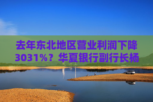去年东北地区营业利润下降3031%？华夏银行副行长杨伟：加大了该地区不良资产处置力度