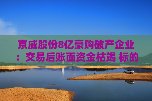 京威股份8亿豪购破产企业：交易后账面资金枯竭 标的南京知行曾6次流拍