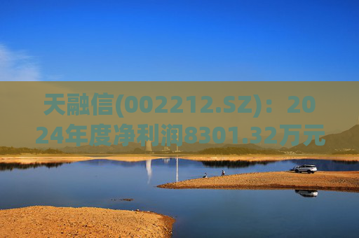 天融信(002212.SZ)：2024年度净利润8301.32万元 拟10派0.2元