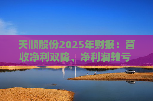 天顺股份2025年财报：营收净利双降、净利润转亏 资产规模收缩