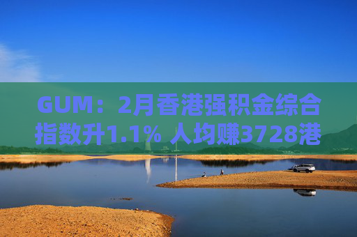 GUM：2月香港强积金综合指数升1.1% 人均赚3728港元