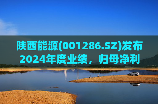 陕西能源(001286.SZ)发布2024年度业绩，归母净利润30.09亿元，同比增长17.73%