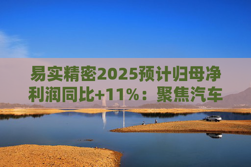 易实精密2025预计归母净利润同比+11%：聚焦汽车精密金属零部件研发销售，设立+增资子公司推进海外布局