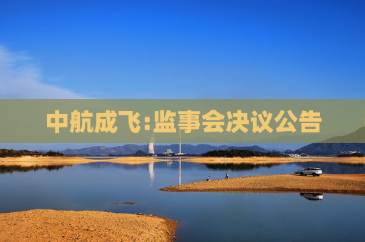 中航成飞:监事会决议公告  第1张