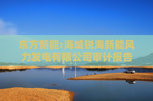 东方新能:海城锐海新能风力发电有限公司审计报告