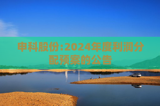 申科股份:2024年度利润分配预案的公告