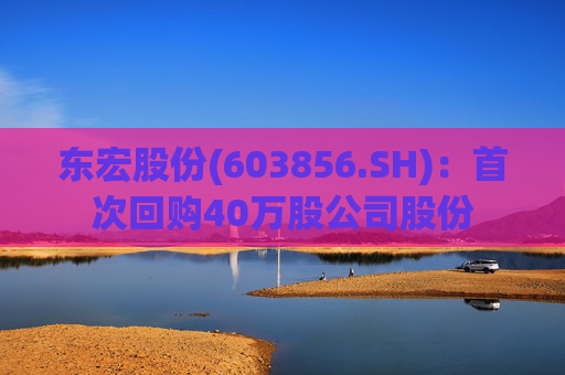 东宏股份(603856.SH)：首次回购40万股公司股份