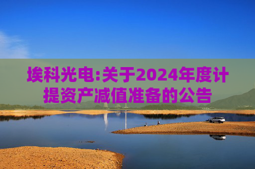 埃科光电:关于2024年度计提资产减值准备的公告
