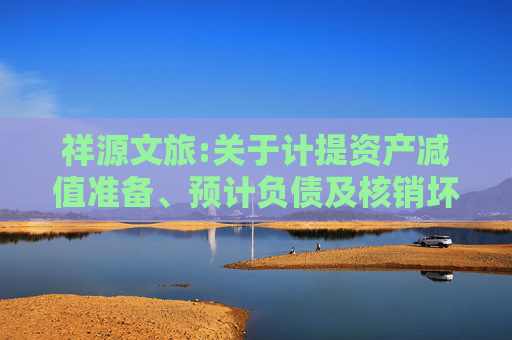 祥源文旅:关于计提资产减值准备、预计负债及核销坏账的公告