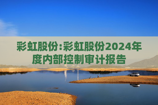 彩虹股份:彩虹股份2024年度内部控制审计报告