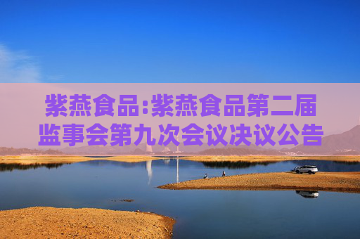 紫燕食品:紫燕食品第二届监事会第九次会议决议公告