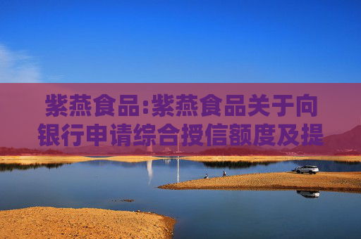 紫燕食品:紫燕食品关于向银行申请综合授信额度及提供担保的公告