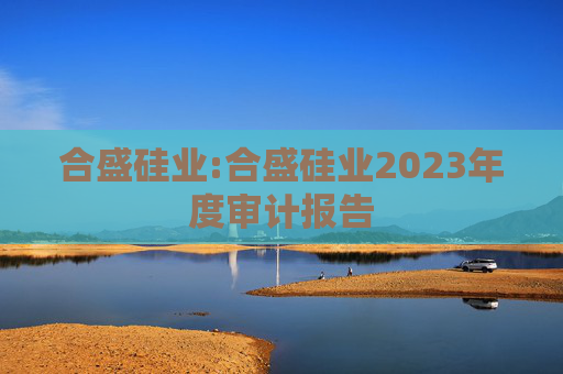 合盛硅业:合盛硅业2023年度审计报告