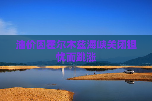 油价因霍尔木兹海峡关闭担忧而跳涨